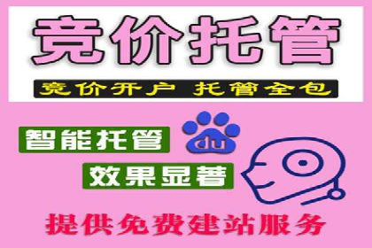 成功利用百度竞价赚钱的五大案例